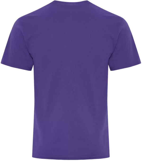 Am image of a Custom ATC Everyday Cotton Blend Tee in Purple!