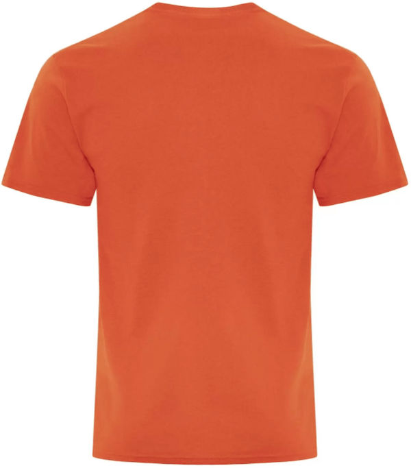 Am image of a Custom ATC Everyday Cotton Blend Tee in Orange!