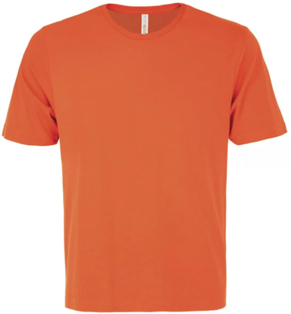 Am image of a Custom ATC Eurospun Ring spun Tee in Orange!