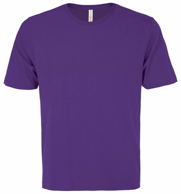 ATC Eurospun Ring spun Tee in Purple