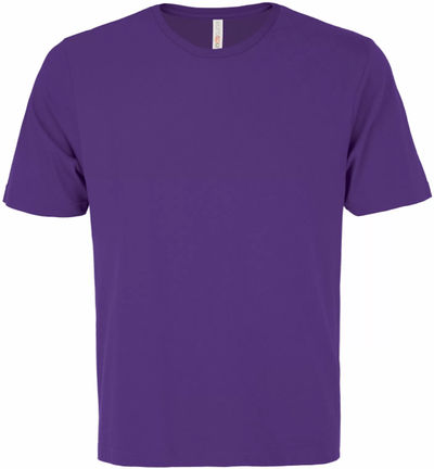 Am image of a Custom ATC Eurospun Ring spun Tee in Purple!