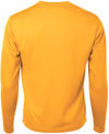 Am image of a Custom ATC Pro Team Long Sleeve Tee in Gold!