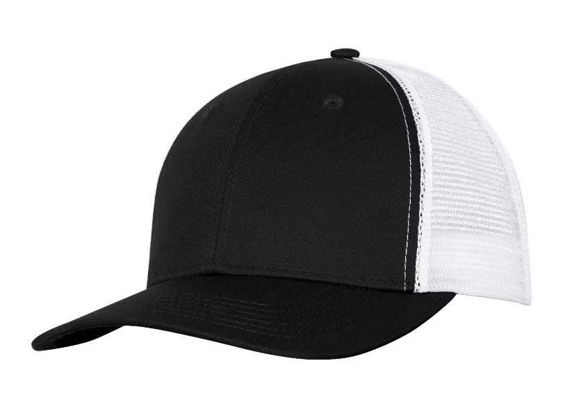ATC Everyday Snapback Trucker Cap in Black/White