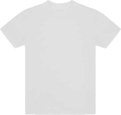 Am image of a Custom LA Apparel Rib Mock Neck Top in White!