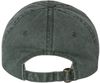 Am image of a Custom Sportsman Pigment Dyed Cap in Forest!