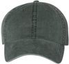Am image of a Custom Sportsman Pigment Dyed Cap in Forest!