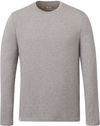 Am image of a Custom Tentree Mens Organic Cotton Long Sleeve Tee in Heather Grey!