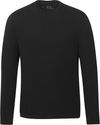 Am image of a Custom Tentree Mens Organic Cotton Long Sleeve Tee in Meteorite Black!