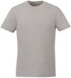 Am image of a Custom Tentree Organic Cotton Short Sleeve Tee in Heather Grey!