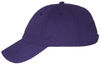 An image of a Custom Valucap Adult Bio Washed Classic Dad's Cap in Purple!