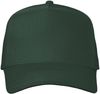 An image of a Custom Valucap Five Panel Cap in Forest!