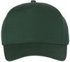 Am image of a Custom Valucap Five Panel Cap in Forest!