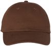 Am image of a Custom Valucap Adult Bio Washed Classic Dad's Cap in Brown!