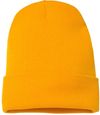 Am image of a Custom YP Classics Cuffed Beanie in Gold!