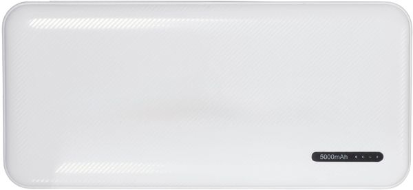 An image of a Custom Zodiac High Density 5000 mAh Power Bank!