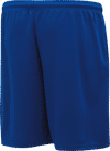 Am image of a Custom Athletic Knit Basketball Shorts in Royal!