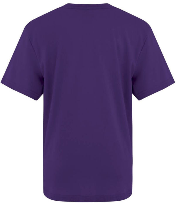 Am image of a Custom ATC Eurospun Ring Spun Youth Tee in Purple!
