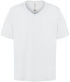 Am image of a Custom ATC Eurospun Ring Spun V Neck Tee in White!