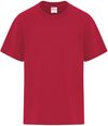 Am image of a Custom ATC Everyday Blend Side Seam Youth Tee in Red!