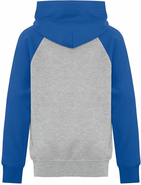 Am image of a Custom ATC Everyday Fleece Two Tone Hooded Sweatshirt in Athletic Heather/Royal!
