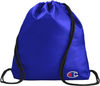 Am image of a Custom Champion Carry Sack in Blue!