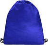 Am image of a Custom Champion Carry Sack in Blue!
