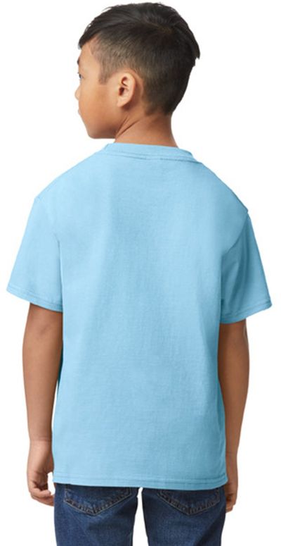 Am image of a Custom Gildan Youth Softstyle Midweight T Shirt in LIGHT BLUE!