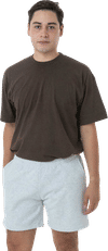 Am image of a Custom LA Apparel Heavy Fleece Mid Short in Ash!
