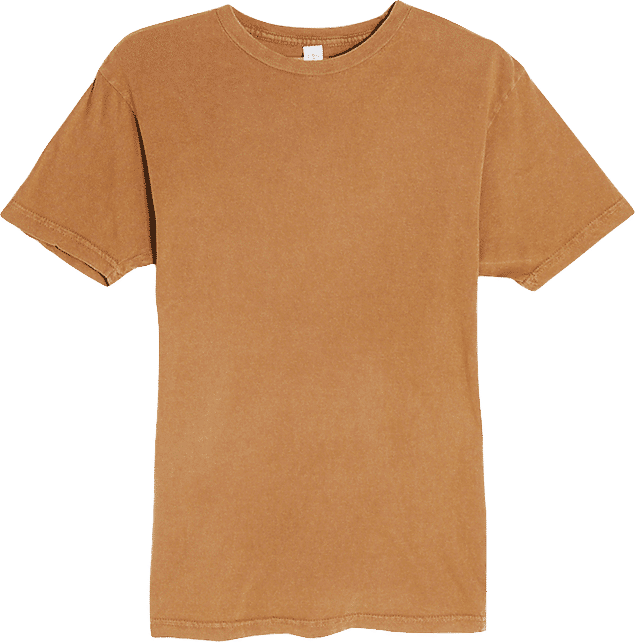 Lane 7 Vintage Crewneck Tee in Vintage Camel