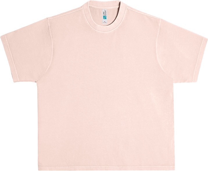 Lane 7 Urban Heavy Pigment Tee in Salmon Pink