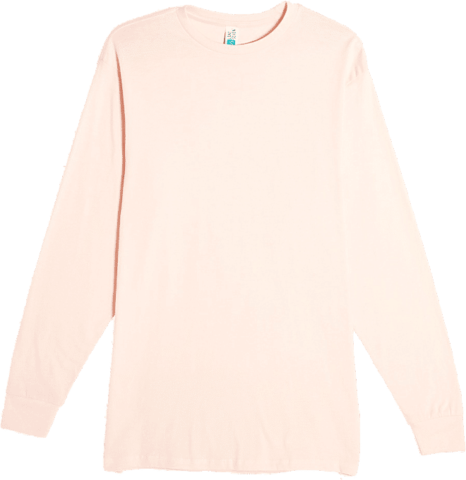 Lane 7 Heavyweight Long Sleeve Tee in Pale Pink