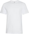 Am image of a Custom Koi Element Tee in White!