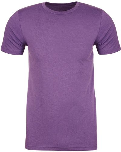 Am image of a Custom Next Level Men's CVC Crew in Purple Rush!