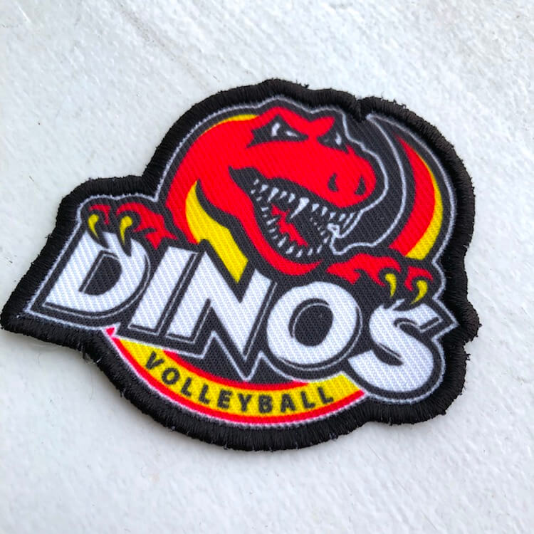 A vibrant dino pach made for a local volleyball team