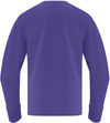 Am image of a Custom ATC Everyday Cotton Long Sleeve Youth Tee in Purple!
