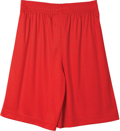 Am image of a Custom Atc Pro Team Youth Shorts in True Red!