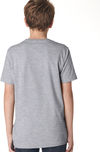 Am image of a Custom Next Level Youth Boys' Cotton Crew in Heather Gray!