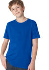 Am image of a Custom Next Level Youth Boys' Cotton Crew in Royal!