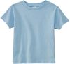 Am image of a Custom Rabbit Skins Cotton Jersey T Shirt in Light Blue!