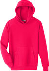 Am image of a Custom Team 365 Youth Zone HydroSport Heavyweight Pullover Hooded Sweatshirt in Sport Red!